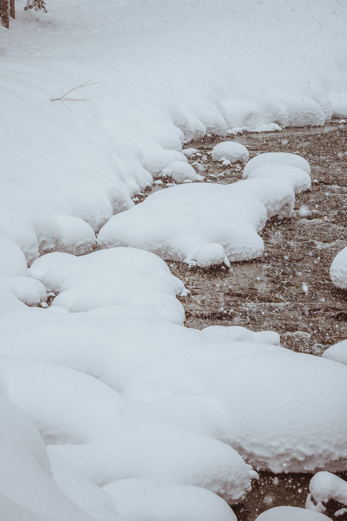 Export x3 1DX29400 Verlobungsfotoshooting 2018 Anna & Dominik